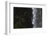 Faroes, Vagar, Gasadalur, puffin, Fratercula arctica, waterfall-olbor-Framed Photographic Print