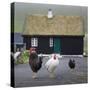 Faroes, Vagar, Gasaldur, chickens with typical wooden house-olbor-Stretched Canvas