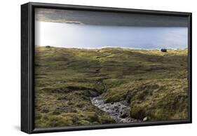 Faroes, Vagar, Sorvagsvatn, Leitisvatn, scenery, house-olbor-Framed Photographic Print