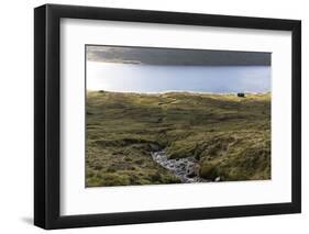 Faroes, Vagar, Sorvagsvatn, Leitisvatn, scenery, house-olbor-Framed Photographic Print