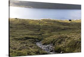 Faroes, Vagar, Sorvagsvatn, Leitisvatn, scenery, house-olbor-Stretched Canvas