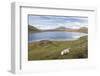 Faroes, Vagar, Sorvagsvatn, Leitisvatn, scenery-olbor-Framed Photographic Print