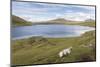 Faroes, Vagar, Sorvagsvatn, Leitisvatn, scenery-olbor-Mounted Photographic Print