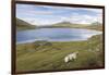 Faroes, Vagar, Sorvagsvatn, Leitisvatn, scenery-olbor-Framed Photographic Print