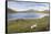 Faroes, Vagar, Sorvagsvatn, Leitisvatn, scenery-olbor-Framed Stretched Canvas