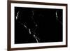 Faroes, waterfall, alienated, reduced, dark [M]-olbor-Framed Photographic Print