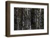 Faroes, waterfall, detail-olbor-Framed Photographic Print