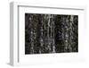 Faroes, waterfall, detail-olbor-Framed Photographic Print