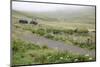 Faroes, way, agriculture-olbor-Mounted Photographic Print