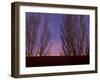 Farolitos, Santa Fe, New Mexico, USA-Julian McRoberts-Framed Premium Photographic Print