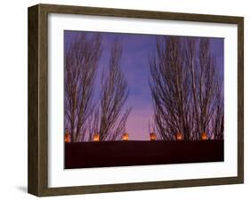 Farolitos, Santa Fe, New Mexico, USA-Julian McRoberts-Framed Premium Photographic Print