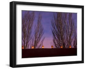 Farolitos, Santa Fe, New Mexico, USA-Julian McRoberts-Framed Premium Photographic Print