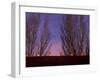 Farolitos, Santa Fe, New Mexico, USA-Julian McRoberts-Framed Premium Photographic Print