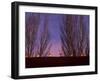 Farolitos, Santa Fe, New Mexico, USA-Julian McRoberts-Framed Photographic Print