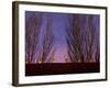 Farolitos, Santa Fe, New Mexico, USA-Julian McRoberts-Framed Photographic Print