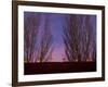 Farolitos, Santa Fe, New Mexico, USA-Julian McRoberts-Framed Photographic Print