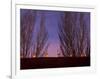 Farolitos, Santa Fe, New Mexico, USA-Julian McRoberts-Framed Photographic Print