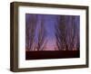 Farolitos, Santa Fe, New Mexico, USA-Julian McRoberts-Framed Photographic Print