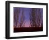 Farolitos, Santa Fe, New Mexico, USA-Julian McRoberts-Framed Photographic Print