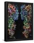 Essential Black