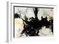 White Frame