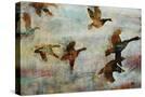 Stretched Canvas