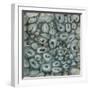 White Frame
