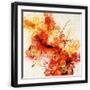 Black Frame