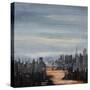 Stretched Canvas