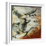 White Frame