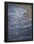 Essential Black