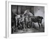 Farrier at Work Lithograph from Etudes de Cheveaux-Théodore Géricault-Framed Giclee Print