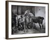 Farrier at Work Lithograph from Etudes de Cheveaux-Théodore Géricault-Framed Giclee Print