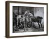 Farrier at Work Lithograph from Etudes de Cheveaux-Théodore Géricault-Framed Giclee Print