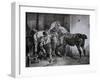 Farrier at Work Lithograph from Etudes de Cheveaux-Théodore Géricault-Framed Giclee Print