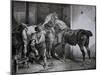 Farrier at Work Lithograph from Etudes de Cheveaux-Théodore Géricault-Mounted Giclee Print