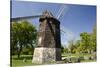 Farris Windmill, Greenfield Village, Dearborn, Michigan, USA-Cindy Miller Hopkins-Stretched Canvas