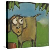Farting Dog-Tim Nyberg-Stretched Canvas