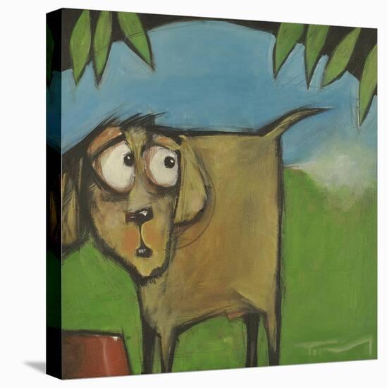 Farting Dog-Tim Nyberg-Stretched Canvas