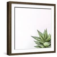 Fasciata-Assaf Frank-Framed Giclee Print