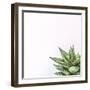 Fasciata-Assaf Frank-Framed Giclee Print