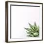 Fasciata-Assaf Frank-Framed Giclee Print