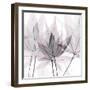 Fascinating Bouquet-Albert Koetsier-Framed Photographic Print