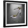 Fashion 4-Victoria Brown-Framed Art Print