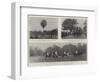 Fashion and Sport, Events at Ranelagh, Hyde Park, and Hurlingham-null-Framed Giclee Print