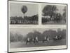 Fashion and Sport, Events at Ranelagh, Hyde Park, and Hurlingham-null-Mounted Giclee Print