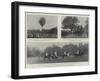 Fashion and Sport, Events at Ranelagh, Hyde Park, and Hurlingham-null-Framed Giclee Print