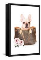 Fashion Bag with Frenchie-Amanda Greenwood-Framed Stretched Canvas