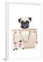 Fashion Bag with Pug-Amanda Greenwood-Framed Art Print