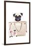 Fashion Bag with Pug-Amanda Greenwood-Framed Art Print